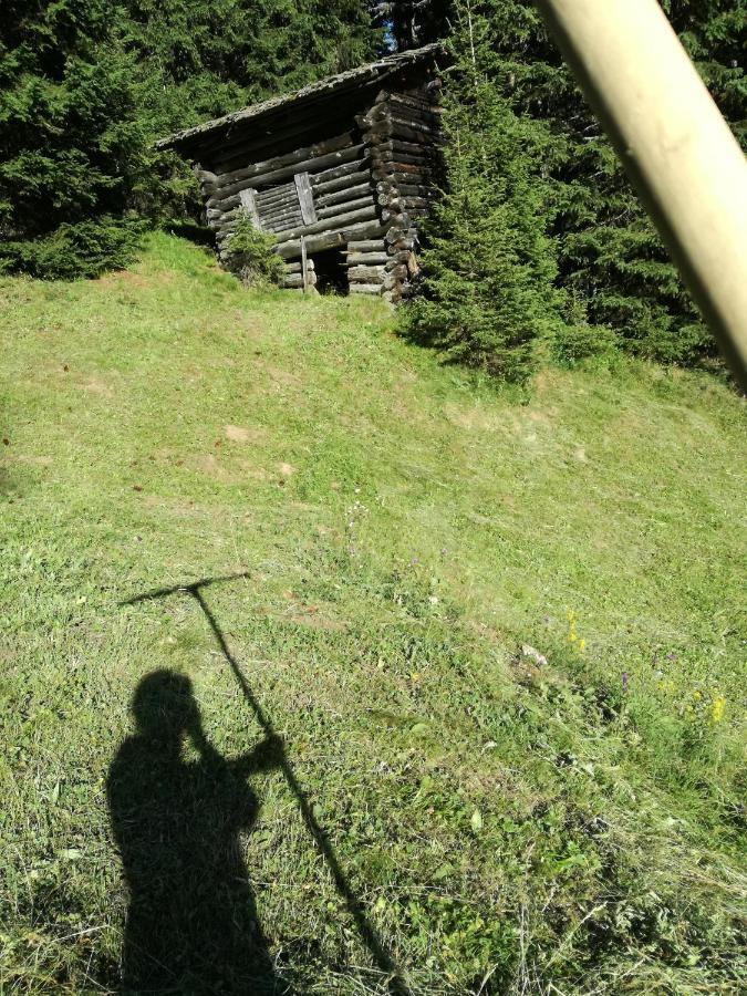 Appartement Bichlerhof à Hopfgarten in Defereggen Extérieur photo